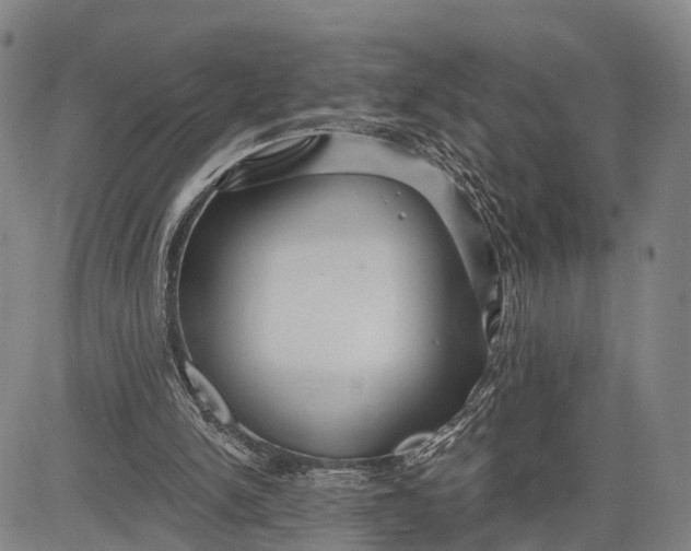 X0000083610150200703051552