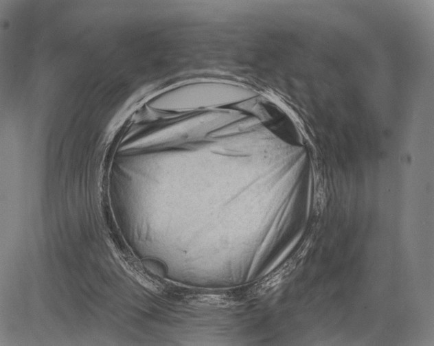 X0000083610151200703051552