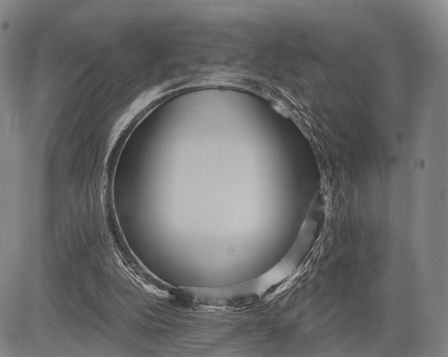 X0000083610152200703051552