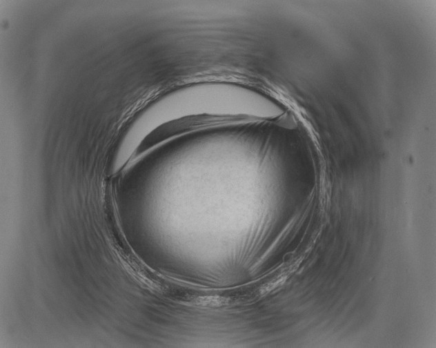 X0000083610153200703051552