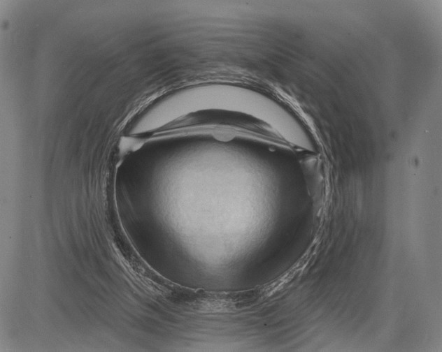 X0000083610154200703051552