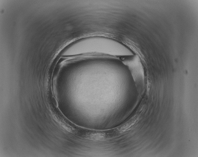 X0000083610156200703051552