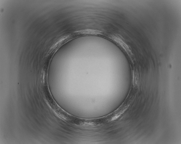 X0000083610157200703051552