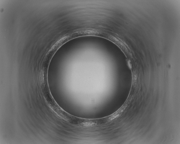 X0000083610158200703051552