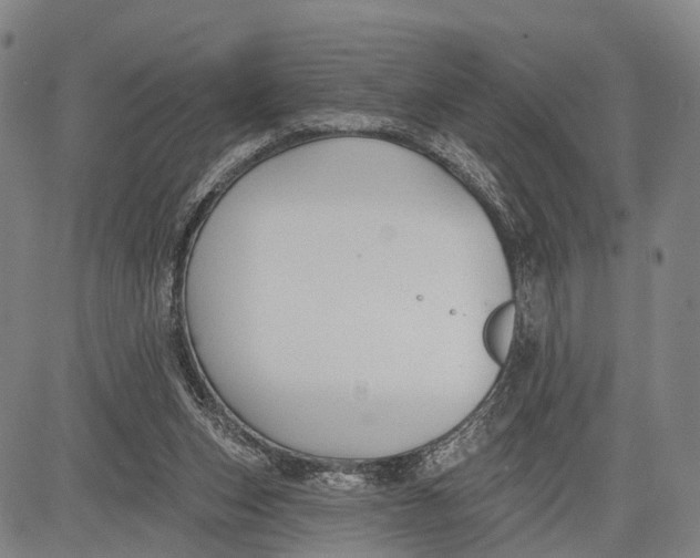 X0000083610159200703051552