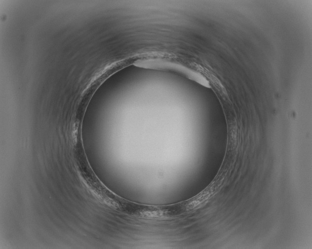 X0000083610160200703051552