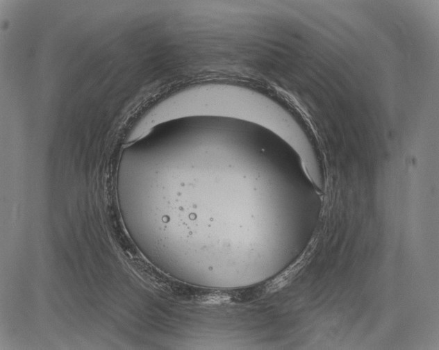 X0000083610162200703051552