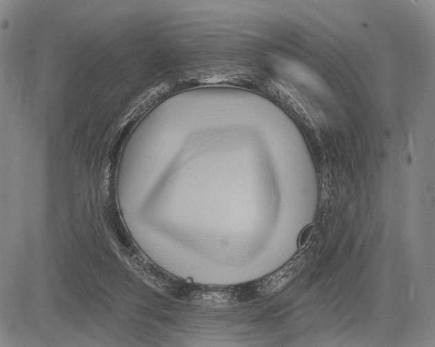 X0000083610163200703051552