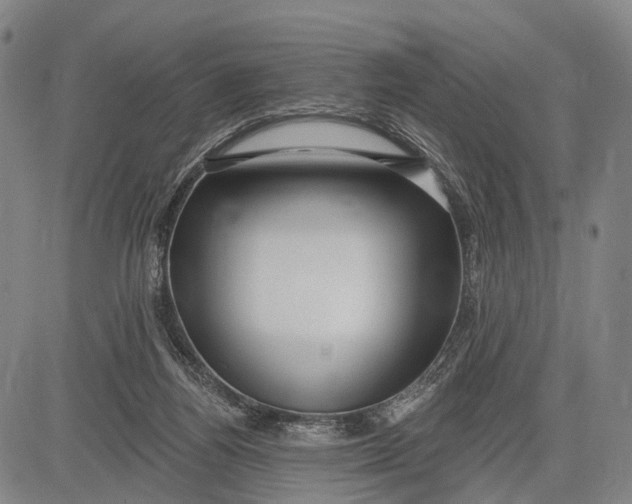 X0000083610164200703051552