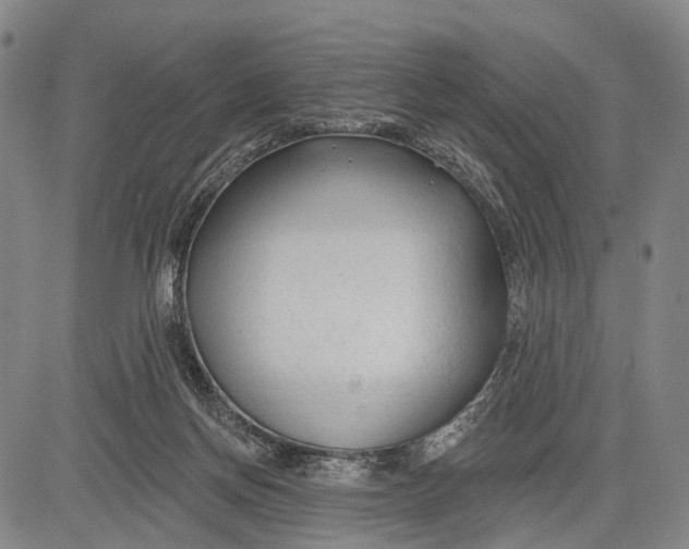 X0000083610166200703051552