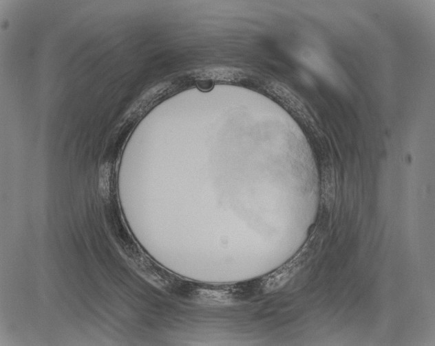 X0000083610167200703051552