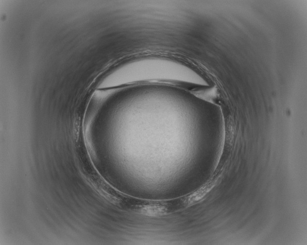 X0000083610168200703051552