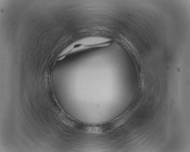 X0000083610169200703051552