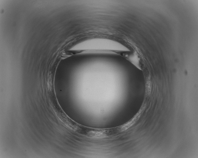 X0000083610170200703051552