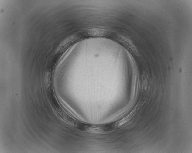 X0000083610171200703051552