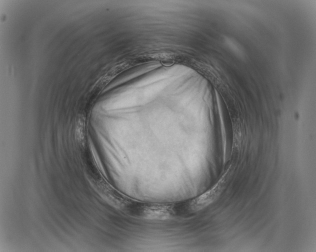 X0000083610175200703051552