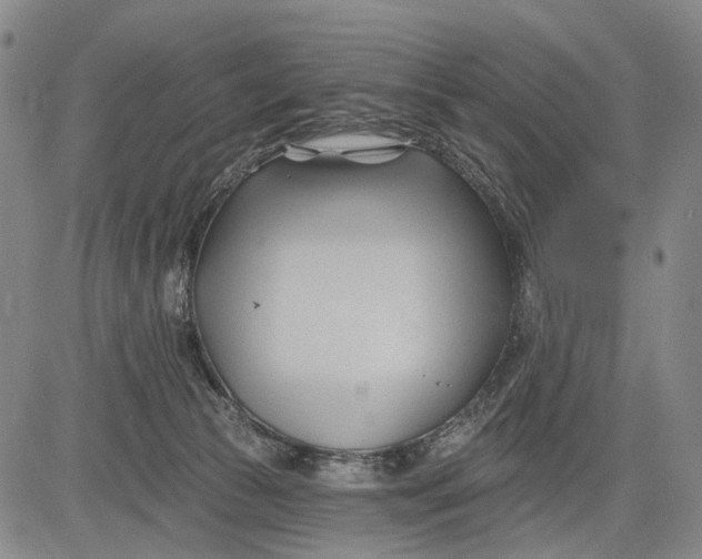 X0000083610177200703051553