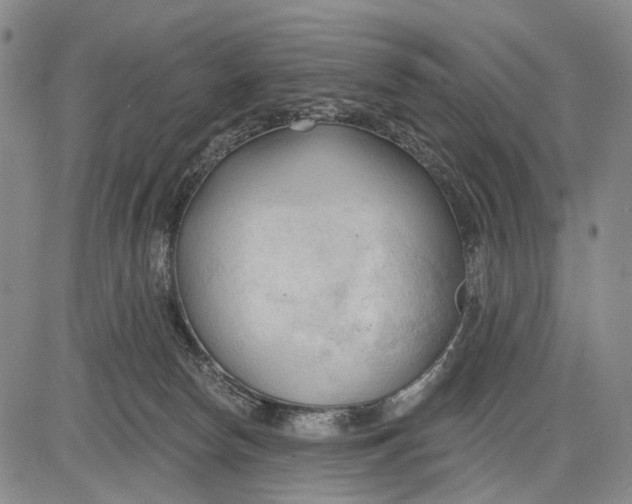 X0000083610178200703051553