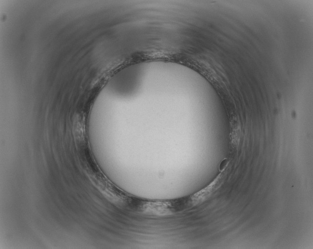 X0000083610179200703051553