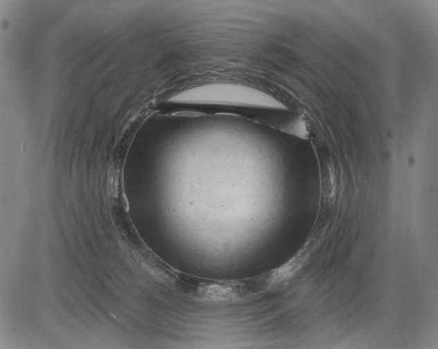 X0000083610180200703051553