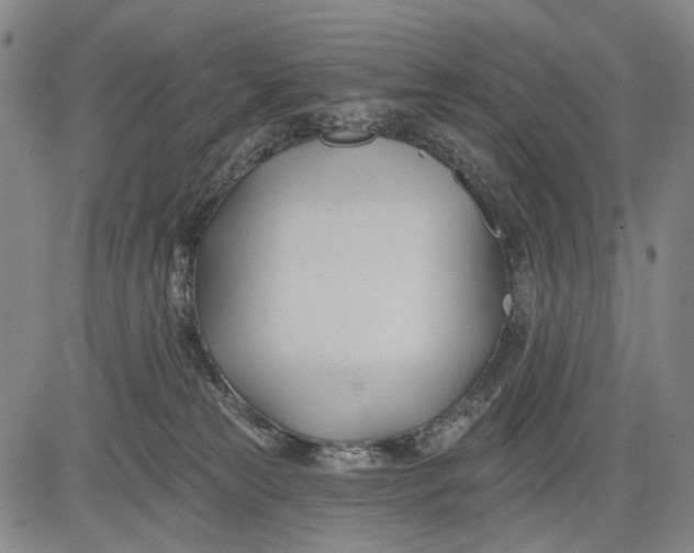 X0000083610181200703051553