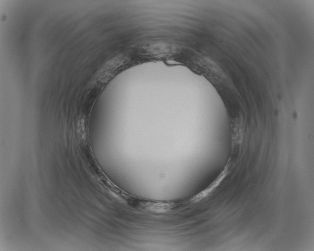 X0000083610182200703051553