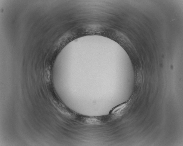 X0000083610183200703051553