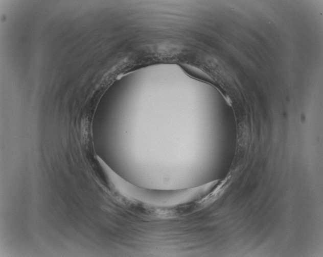 X0000083610184200703051553