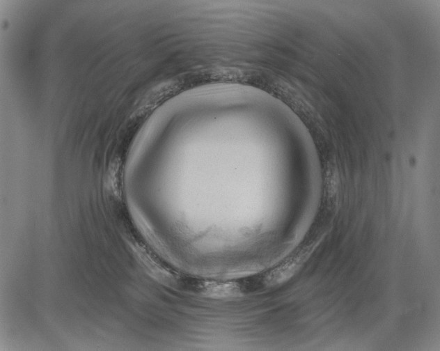 X0000083610185200703051553