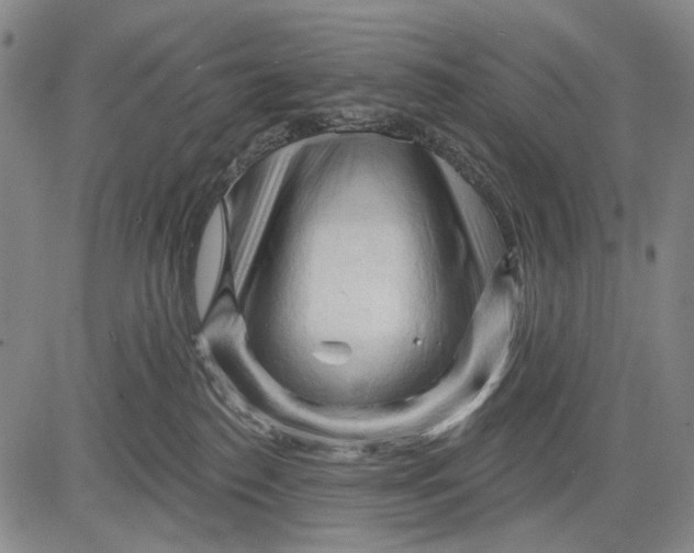 X0000083610186200703051553