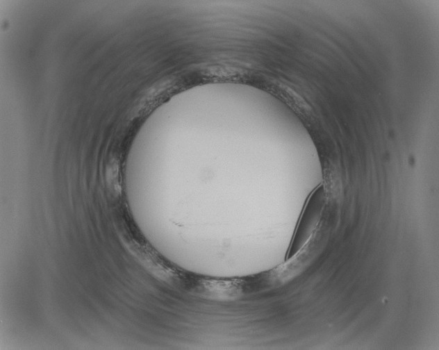 X0000083610187200703051553