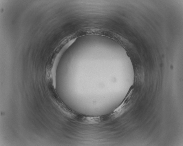 X0000083610188200703051553