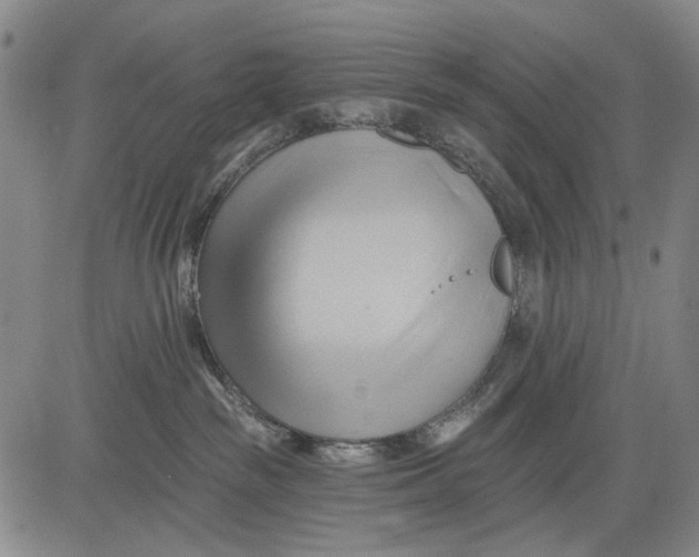 X0000083610189200703051553