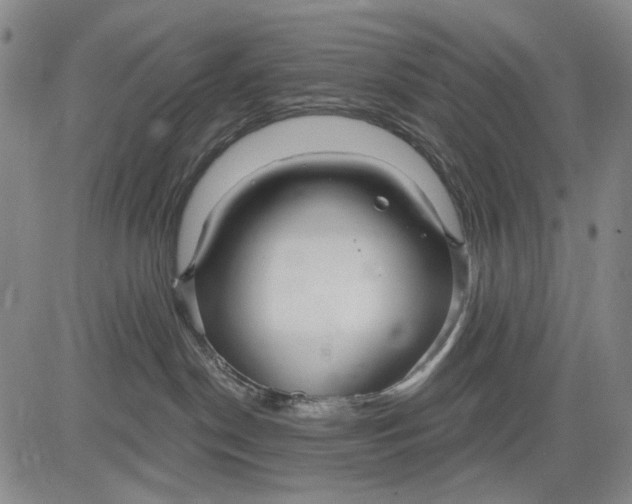 X0000083610190200703051553