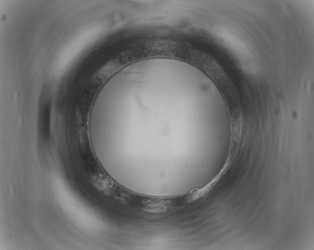 X0000083610191200703051553