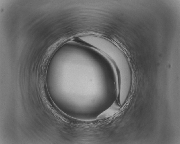 X0000083610193200703051552