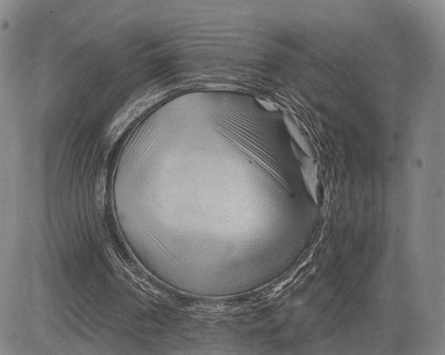 X0000083610194200703051552