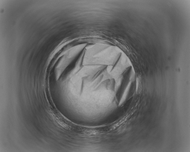 X0000083610195200703051552