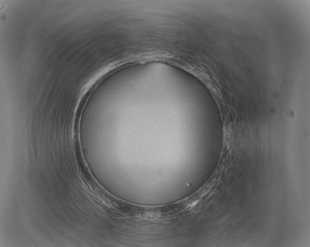 X0000083610196200703051552