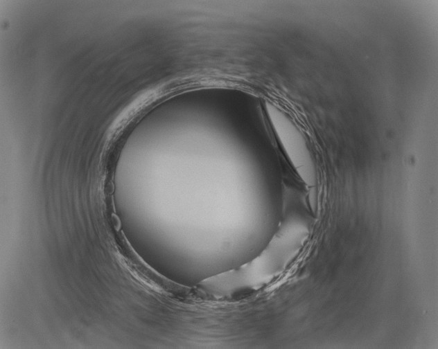 X0000083610197200703051552