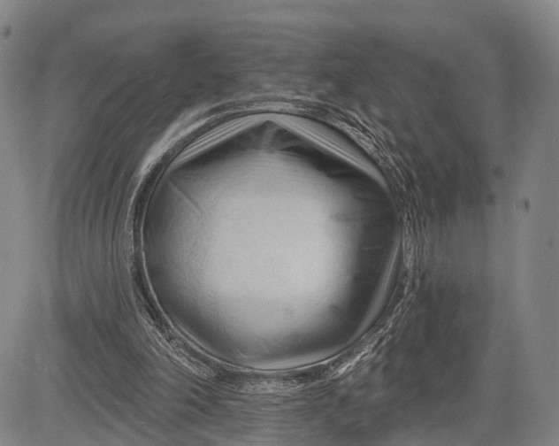 X0000083610198200703051552