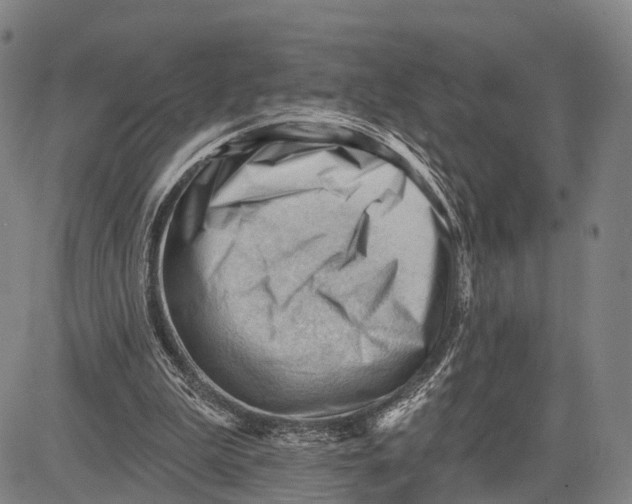 X0000083610199200703051552