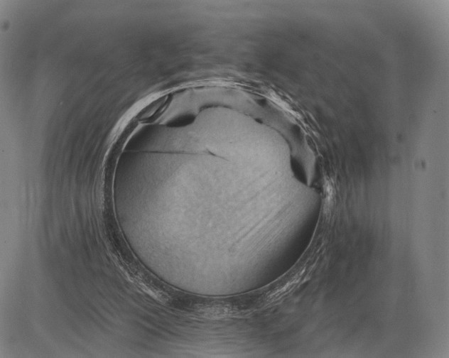 X0000083610200200703051552