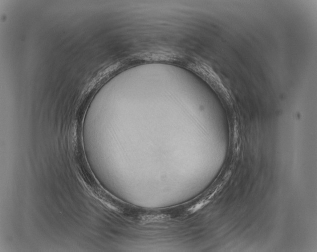 X0000083610202200703051552