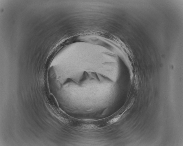 X0000083610203200703051552