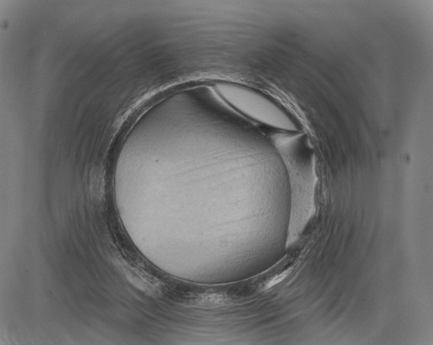 X0000083610204200703051552