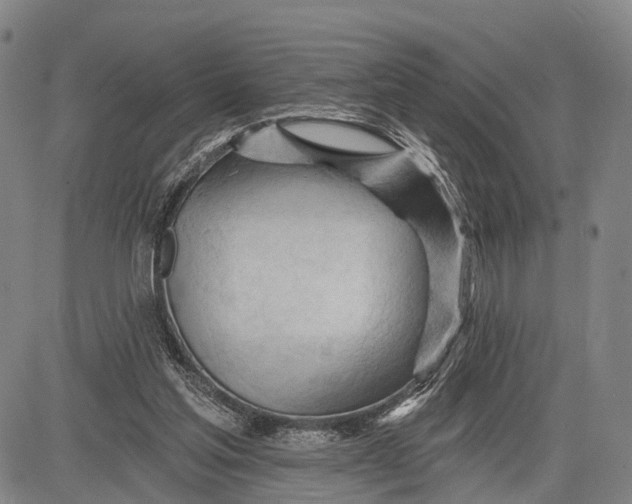 X0000083610205200703051552