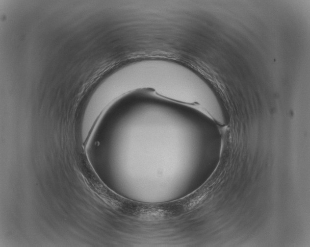 X0000083610206200703051552