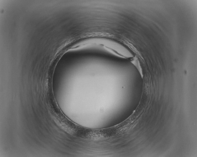 X0000083610207200703051552