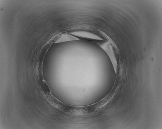 X0000083610209200703051552